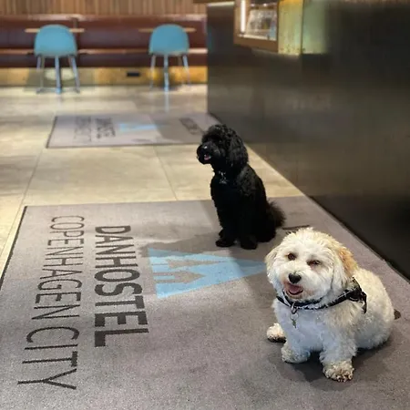 Danhostel & Hostal *