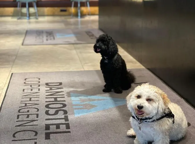 Danhostel & Vandrerhjem *